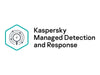 Kaspersky Sicherheitssoftware – Schutz für 250-499 Geräte