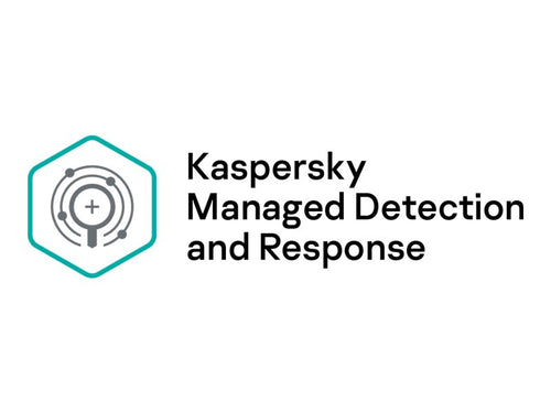 Kaspersky Sicherheitssoftware – Schutz für 250-499 Geräte