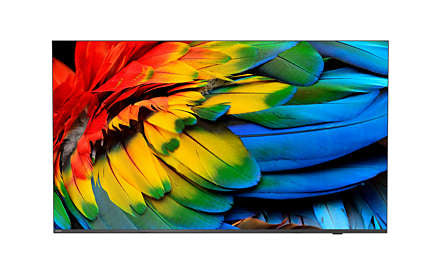 Philips 58" Hotel TV – Smart TV mit Chromecast und Android