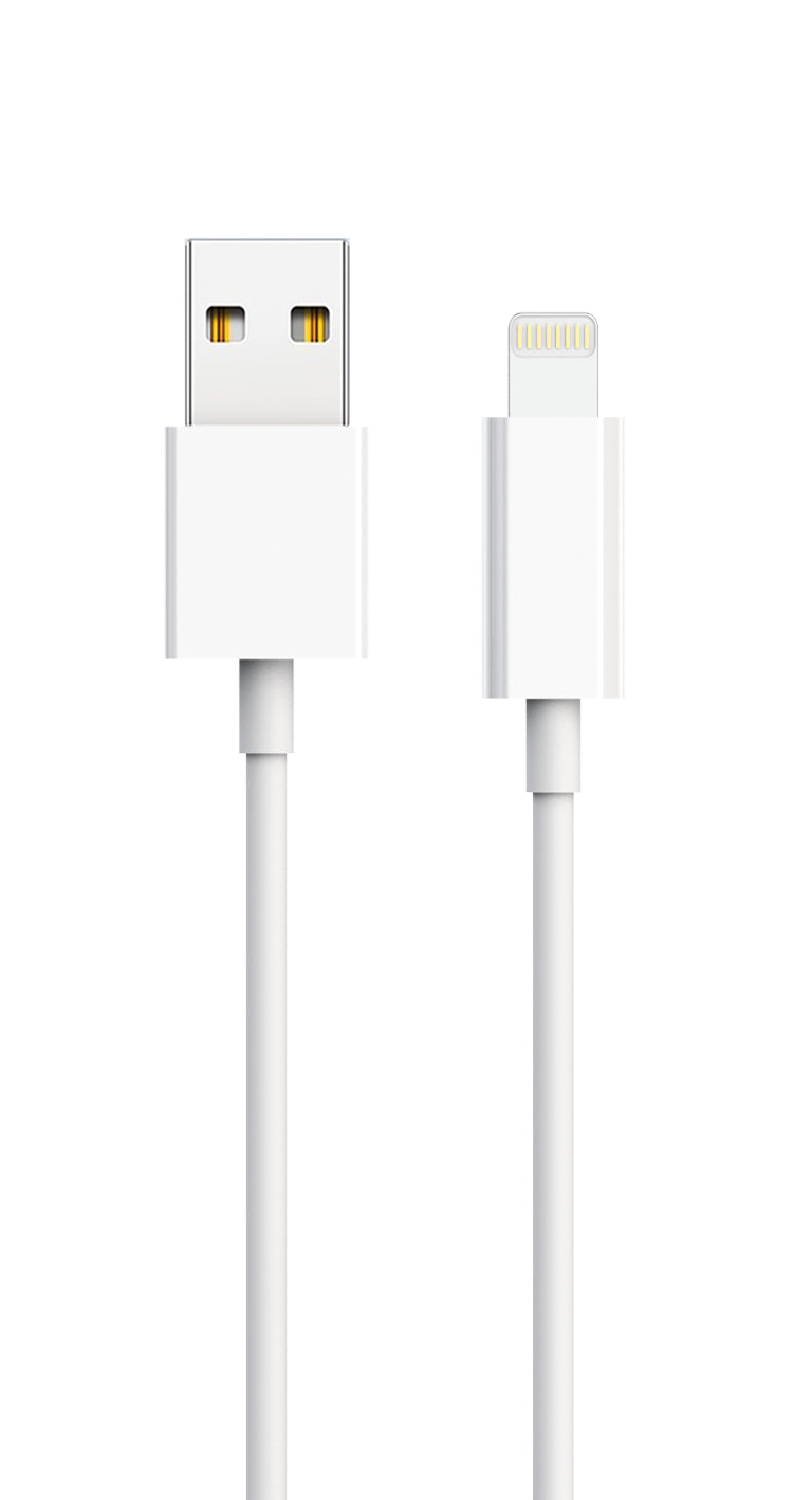 2GO Netz-Ladeset – Universal, inkl. Lightning-Kabel