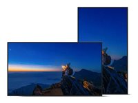 Sharp 75" 4K UHD Display – Helles Bild, weiter Blickwinkel