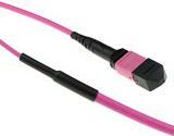 Advanced Cable Technology Glasfaser-Stammkabel – 25 m, geschirmt