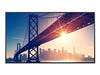 NEC 50" Display – 4K UHD, LED-Hintergrundbeleuchtung
