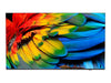 Philips 50" Hotel Smart TV – Android TV, Chromecast integriert