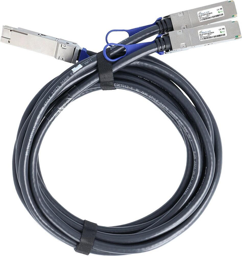 Bluelan Netzwerkkabel – 200G zu 2x100G Verbindung