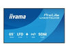 Iiyama 65" 4K-Display – Ideal für Präsentationen und Meetings