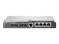 HP Enterprise Blade Switch – 8 Anschlüsse, effizientes Netzwerkmanagement