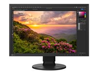 EIZO 24" LED-Monitor – Farbgenauigkeit, USB-C-Anschluss