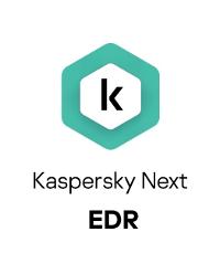 Kaspersky Sicherheitssoftware – Schutz für 20-24 Nutzer, 3 Jahre