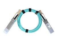 BlueOptics Netzwerk-Kabel – 2m, kompatibel mit Cisco QSFP28