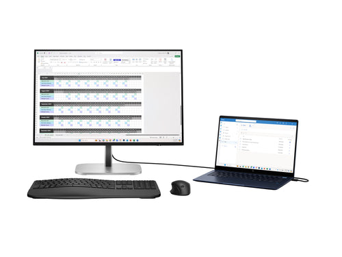 HP LED-Monitor 24" – 2K-Display, IPS-Technologie
