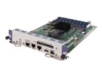 HP Steuerungsprozessor-Modul – 1 GHz, 1 GB RAM