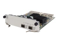 HP Enterprise Netzwerkmodul – Erweiterung für schnelle Datenübertragung