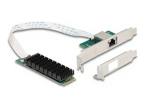 Delock Netzwerkadapter – 10 Gbit/s, M.2 Schnittstelle