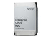 Synology Enterprise Festplatte – 12 TB Speicher für NAS-Systeme
