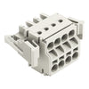 WAGO Buchsengehäuse-Kabel – 4-polig, 5 mm Rastermaß