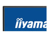 Iiyama 27" LED-Monitor – 2K-Auflösung, IPS-Display