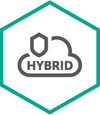 Kaspersky Hybrid Cloud Security – Schutz für virtuelle Arbeitsplätze