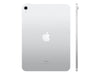 Apple iPad 10.9" Tablet – 256 GB Speicher, A14 Bionic Chip