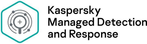 Kaspersky Sicherheitssoftware – Schutz für 250-499 Geräte