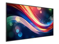 Philips 65" Display – 4K-Auflösung, LED-Hintergrundbeleuchtung