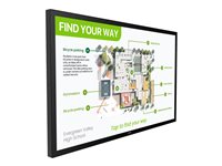 Philips 55" Touchscreen-Display – 4K UHD, interaktiv