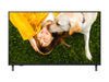 LG 43" 4K Smart TV – HDR10, ideal für Hotels