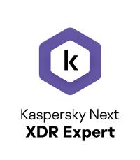 Kaspersky Sicherheitssoftware – Schutz für große Teams