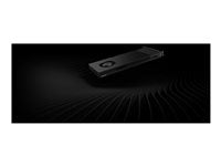 HP Grafikkarte – NVIDIA RTX PRO 4000, 24 GB Speicher