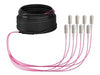 EFB Elektronik Glasfaser-Trunkkabel – 10 m, OM4, halogenfrei