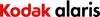 Kodak Vor-Ort-Service – 1 Jahr, schnelle Reaktion