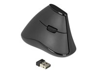DELOCK Vertikale Maus – Ergonomisch, Kabellos für Rechtshänder
