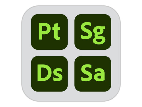 Adobe Substance 3D Collection – Für kreative Teams, 100 Assets/Monat