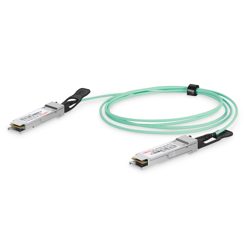Digitus Netzwerk-Kabel – 100 Gbps, 1 m, Glasfaser