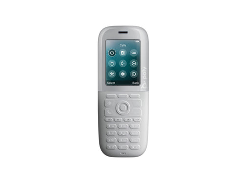 HP Poly Rove 40 Schnurloses Handgerät – DECT, robust und wasserabweisend
