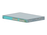 Cisco Netzwerk-Switch – 24 Ports, schnelle Datenübertragung