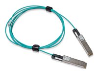 Nvidia Glasfaser-Netzwerkkabel – 10 m, 200GBase, sicherer Mantel