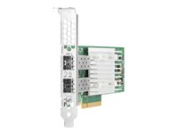 HP Enterprise Netzwerkadapter – 10/25 Gb für schnelles Ethernet