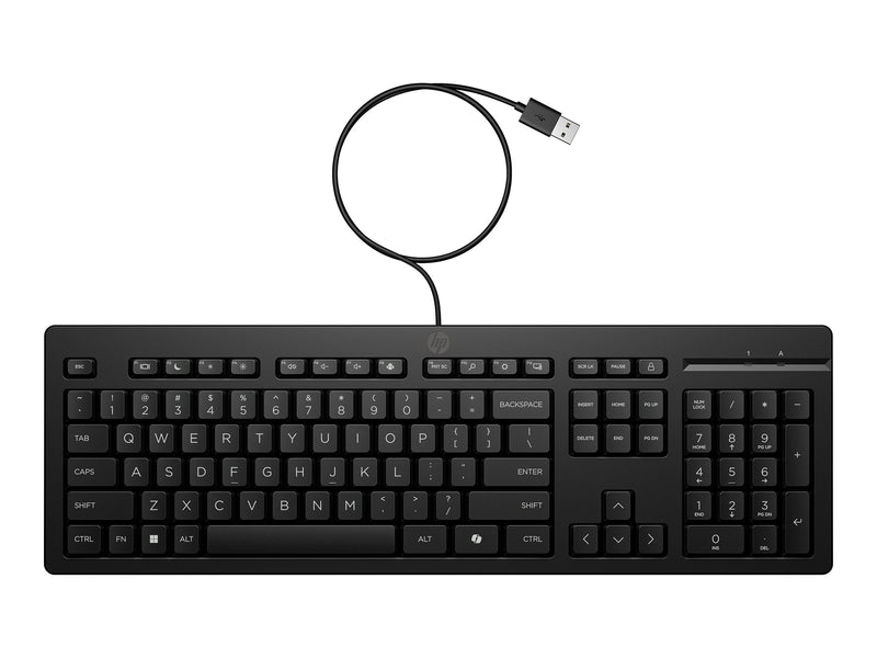 HP USB-Tastatur – Ukrainisches Layout, Plug and Play