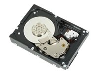 Dell Interne Festplatte – 600 GB Speicher, schnelle Datenübertragung