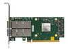 HP Enterprise Netzwerkadapter – 100 Gbps, PCI Express 4.0