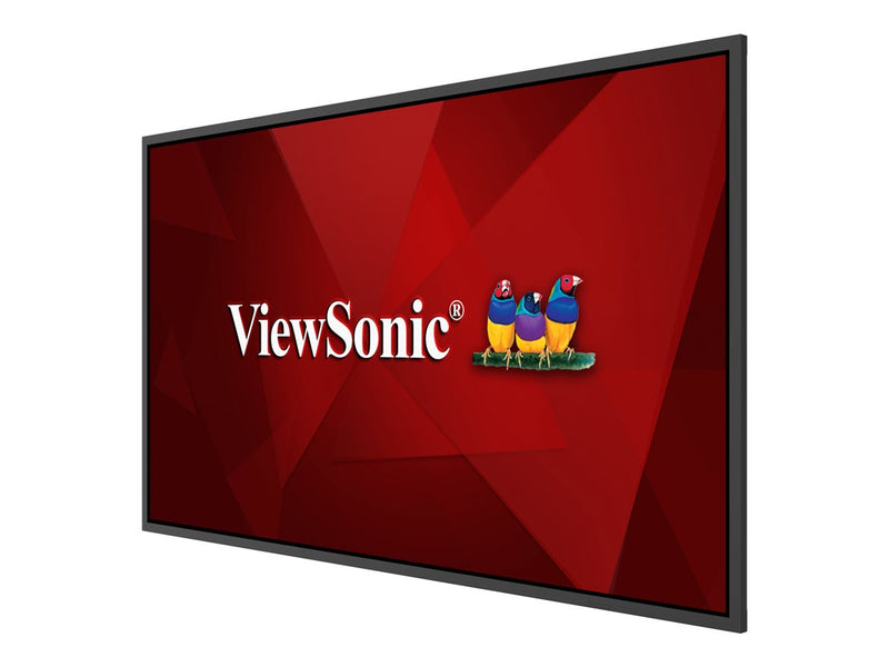 ViewSonic 43" 4K-Display – Für Digital Signage mit integriertem Mediaplayer