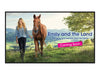 Sharp 43" Display – 4K-Auflösung, schlankes Design