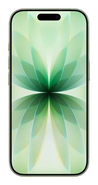 Apple iPhone 17 – Großes OLED-Display, 256 GB Speicher