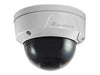 LevelOne Dome IP-Kamera – wetterfest, vandalismussicher