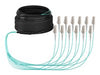 EFB Elektronik Glasfaser-Trunkkabel – 10 m, Multi-Modus, halogenfrei