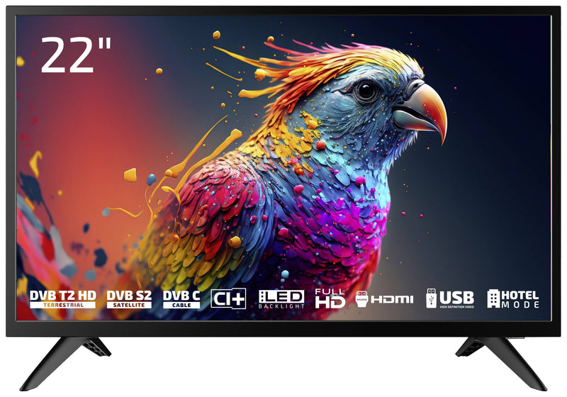 DYON 22" LCD-TV – Full HD, LED-Hintergrundbeleuchtung